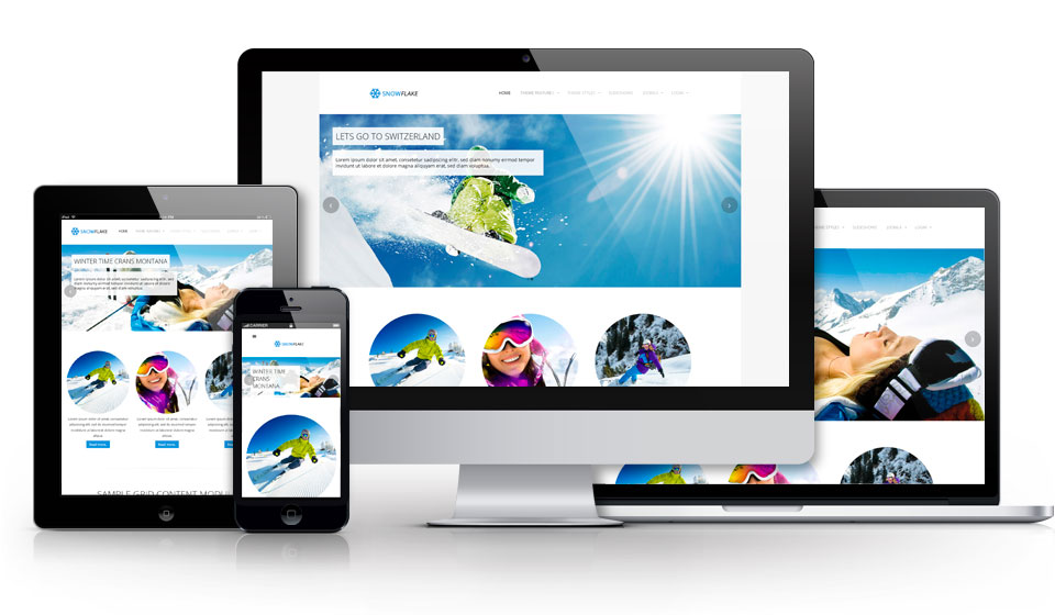 Joomla Theme